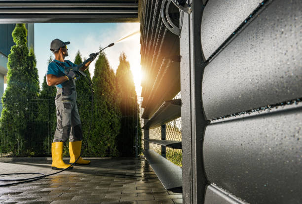 Best Gutter Cleaning  in Brillion, WI